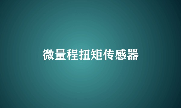 微量程扭矩传感器