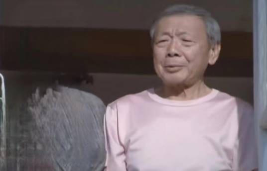 成是非（都市情感剧《婆婆也是妈》中的角色）