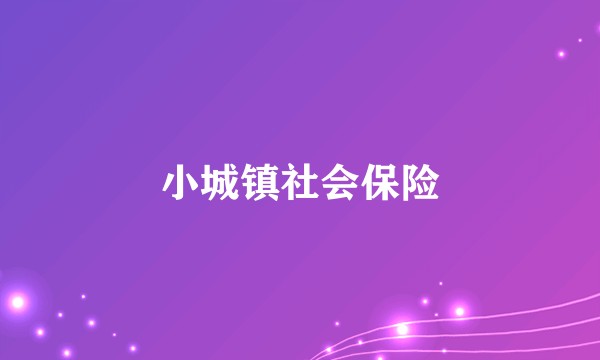 小城镇社会保险