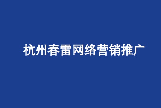 杭州春雷网络营销推广