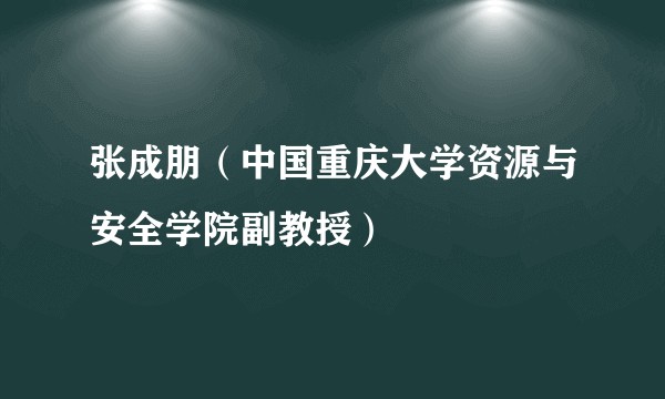 张成朋(中国重庆大学资源与安全学院副教授)
