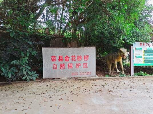 四川省荣县金花桫椤自然保护区