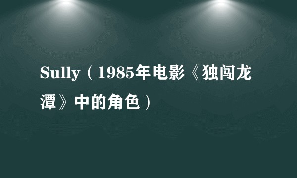 Sully（1985年电影《独闯龙潭》中的角色）
