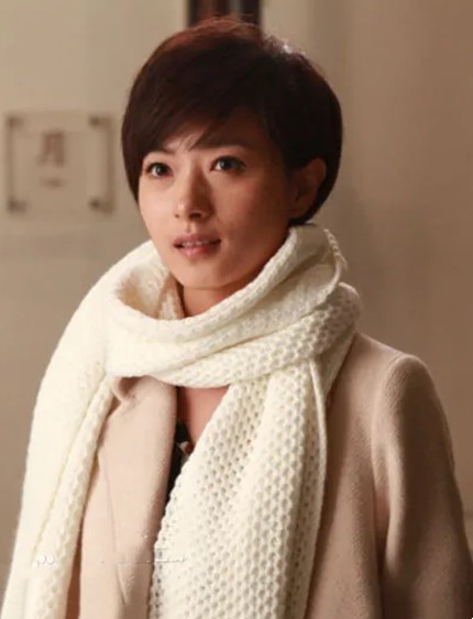 海兰(家庭伦理剧《婚战》中的角色)