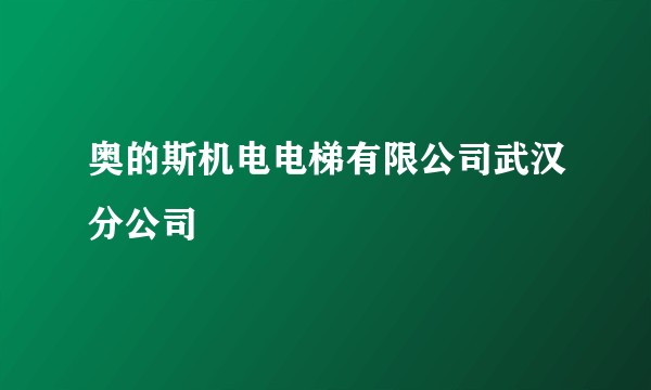 奥的斯机电电梯有限公司武汉分公司