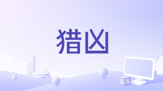 猎凶（吴亮编剧的电影）