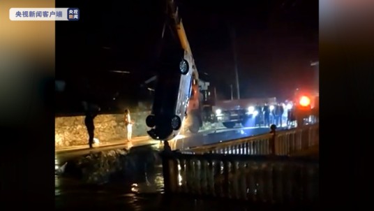 1·23岳阳汽车落水事故
