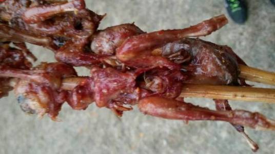 槐香饺屋