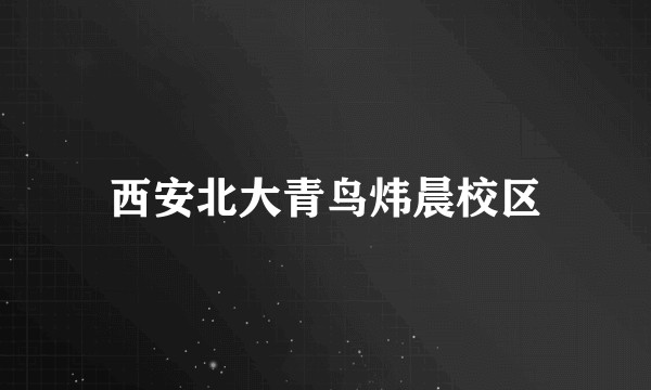 西安北大青鸟炜晨校区