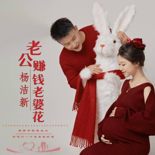 老公赚钱老婆花（杨洁新演唱歌曲）