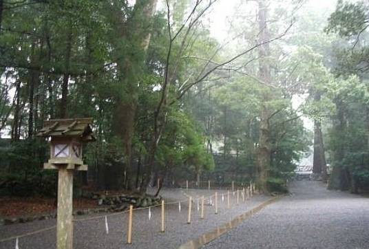如梦令·点滴空阶疏雨