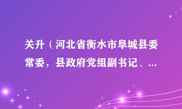 关升（河北省衡水市阜城县委常委，县政府党组副书记、副县长）