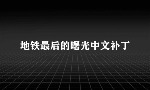 地铁最后的曙光中文补丁