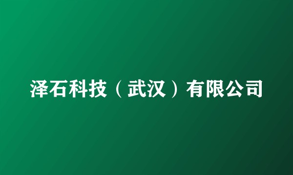 泽石科技（武汉）有限公司