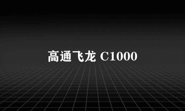 高通飞龙 C1000