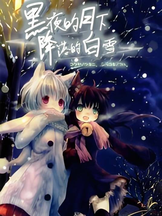 黑夜的月下降落的白雪