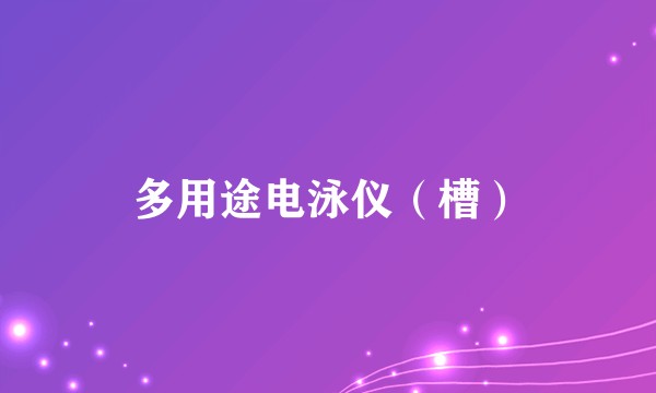 多用途电泳仪（槽）