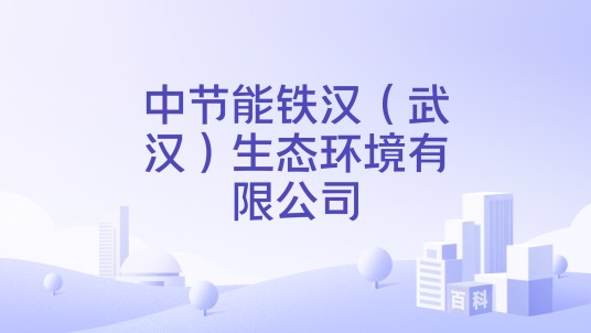 中节能铁汉（武汉）生态环境有限公司