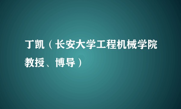 丁凯（长安大学工程机械学院教授、博导）