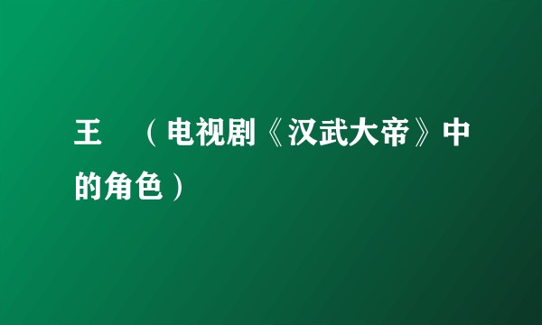 王娡（电视剧《汉武大帝》中的角色）