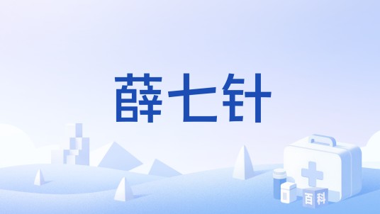 薛七针