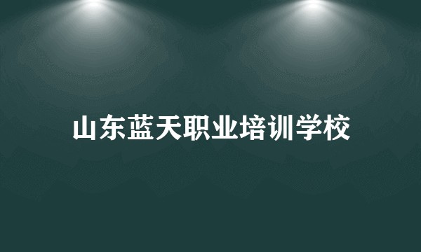 山东蓝天职业培训学校