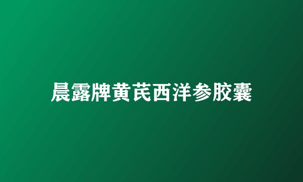 晨露牌黄芪西洋参胶囊