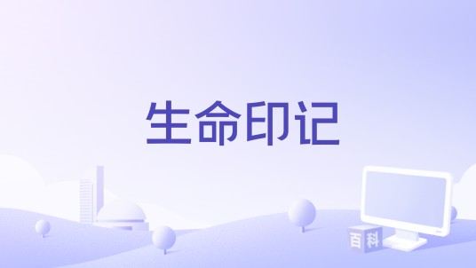 生命印记（暴走萝莉演唱的歌曲）
