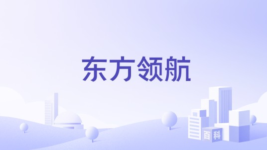 东方领航（校企合作教育品牌）