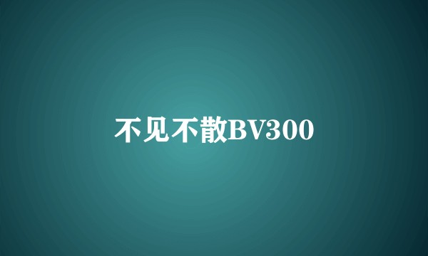 不见不散BV300