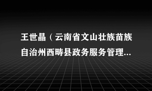 王世晶（云南省文山壮族苗族自治州西畴县政务服务管理局党组书记、一级主任科员）