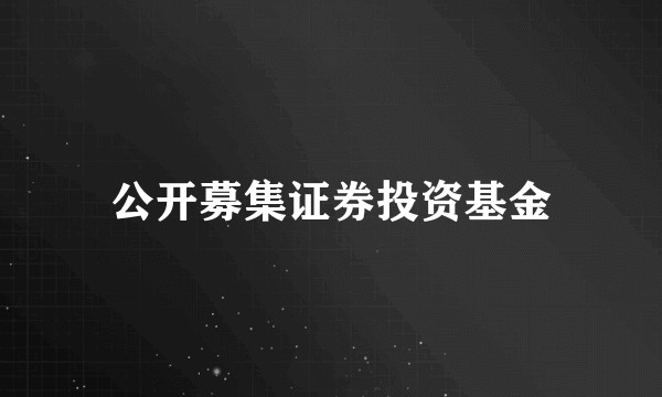公开募集证券投资基金