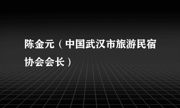 陈金元（中国武汉市旅游民宿协会会长）