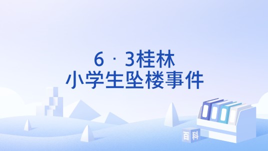 6·3桂林小学生坠楼事件