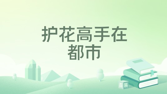 护花高手在都市（三风著网络小说）