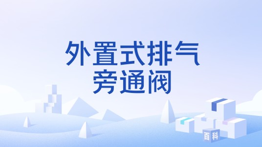 外置式排气旁通阀