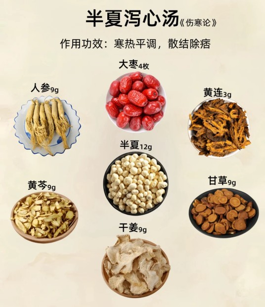 半夏泻心汤加减