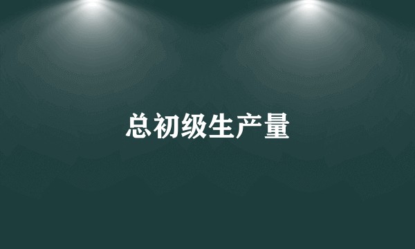 总初级生产量