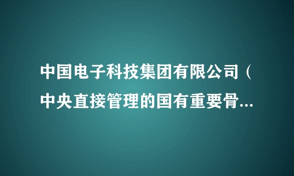 中国电子科技集团有限公司（中央直接管理的国有重要骨干电子信息科技集团）