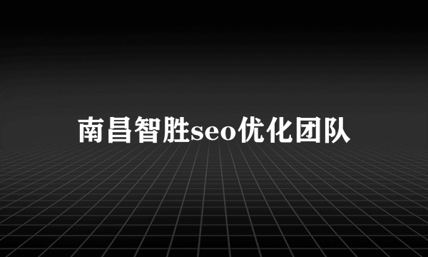 南昌智胜seo优化团队
