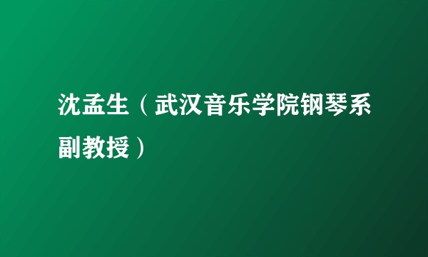 沈孟生（武汉音乐学院钢琴系副教授）