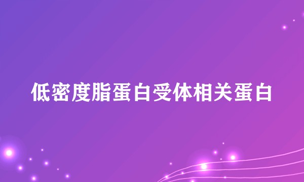低密度脂蛋白受体相关蛋白