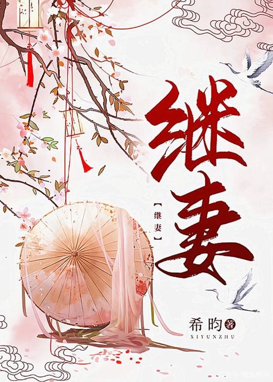 继妻（希昀创作的网络小说）