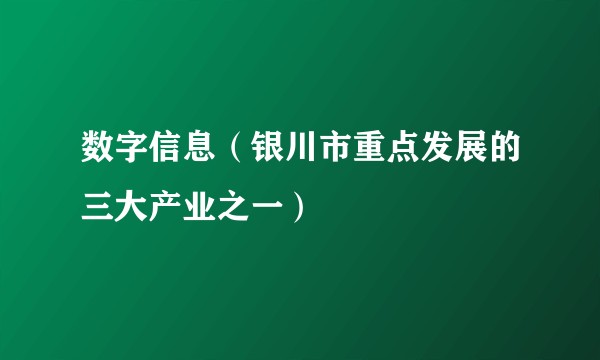 数字信息(银川市重点发展的三大产业之一)