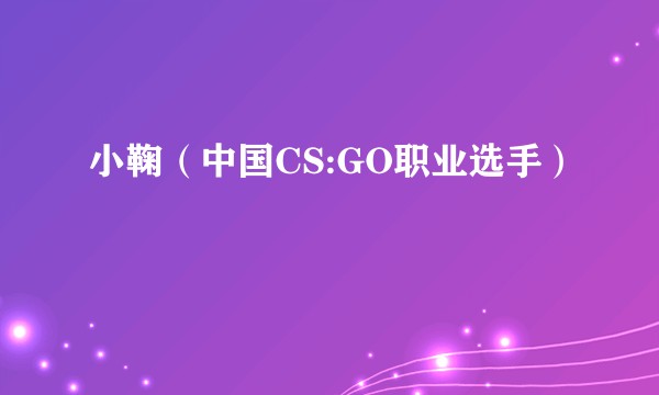 小鞠（中国CS:GO职业选手）