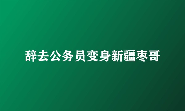 辞去公务员变身新疆枣哥