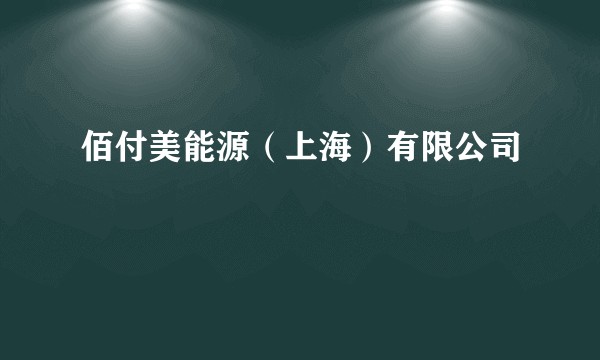 佰付美能源(上海)有限公司