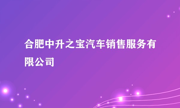 合肥中升之宝汽车销售服务有限公司