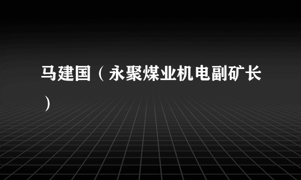 马建国（永聚煤业机电副矿长）