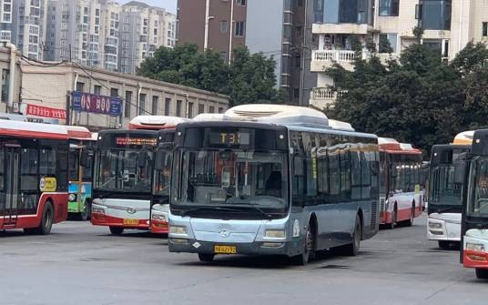 成都公交T31路